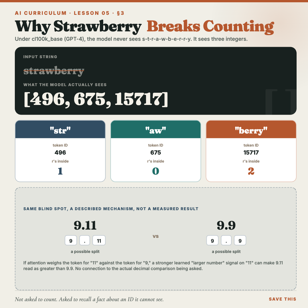 The word strawberry split into three tokens with their IDs, showing the model sees three integers rather than the individual letters