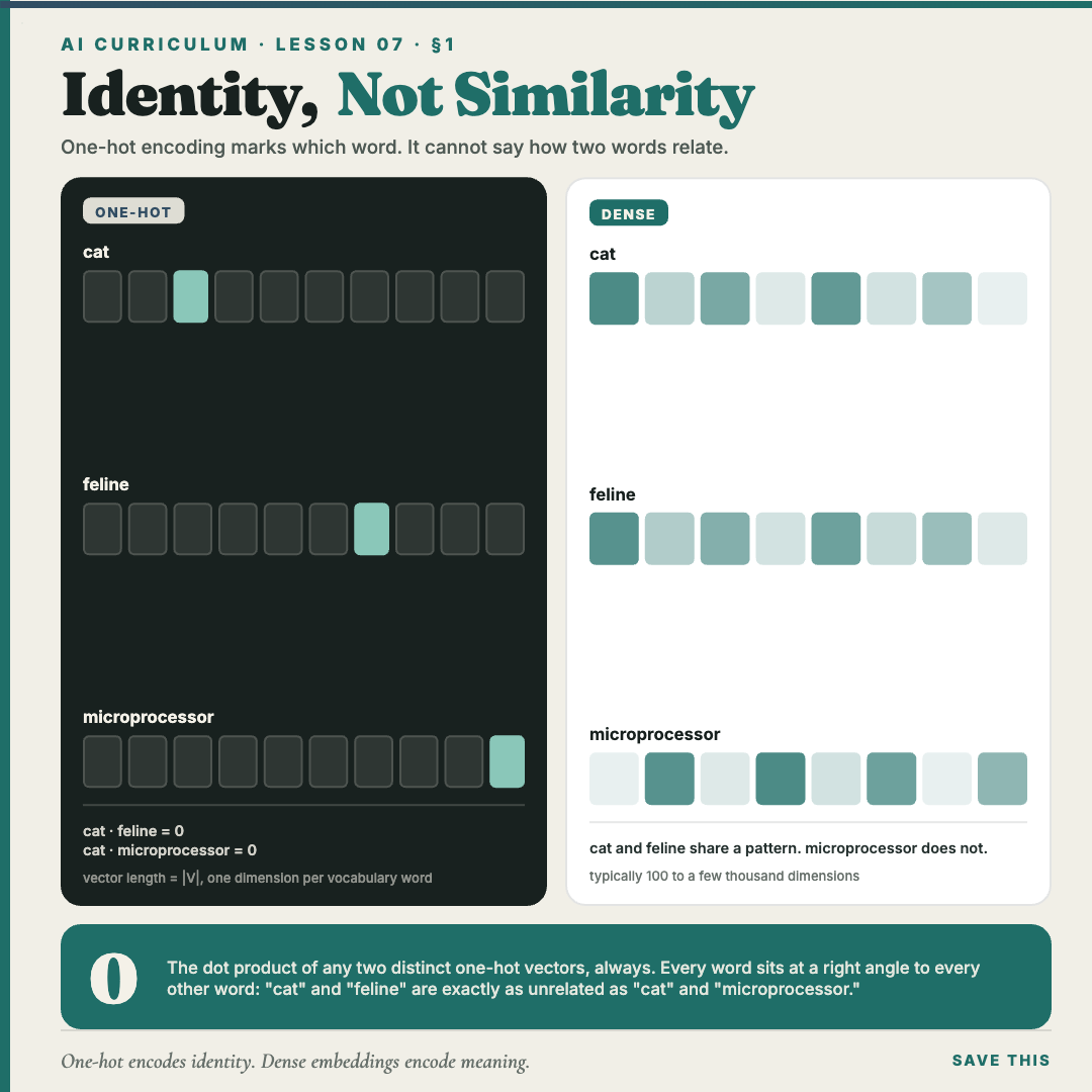 One-hot vectors compared with dense embeddings, showing that one-hot encoding marks identity but cannot express how two words relate