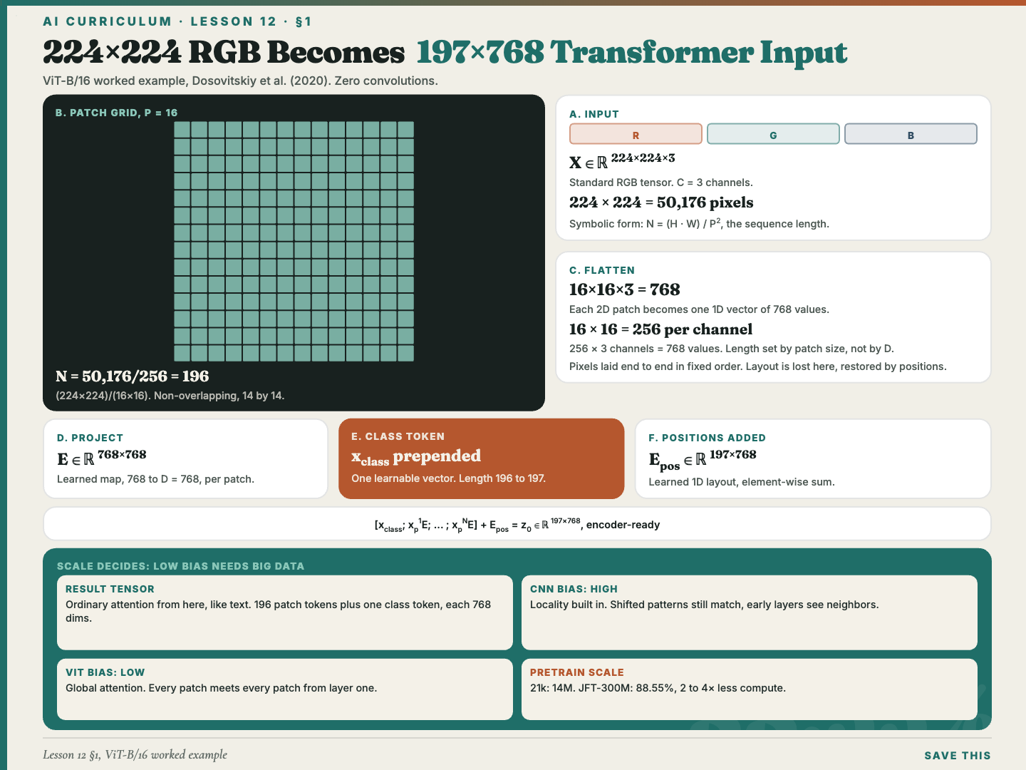 The vision transformer pipeline turning a 224 by 224 RGB image into 197 by 768 transformer input through patch embedding, with no convolutions